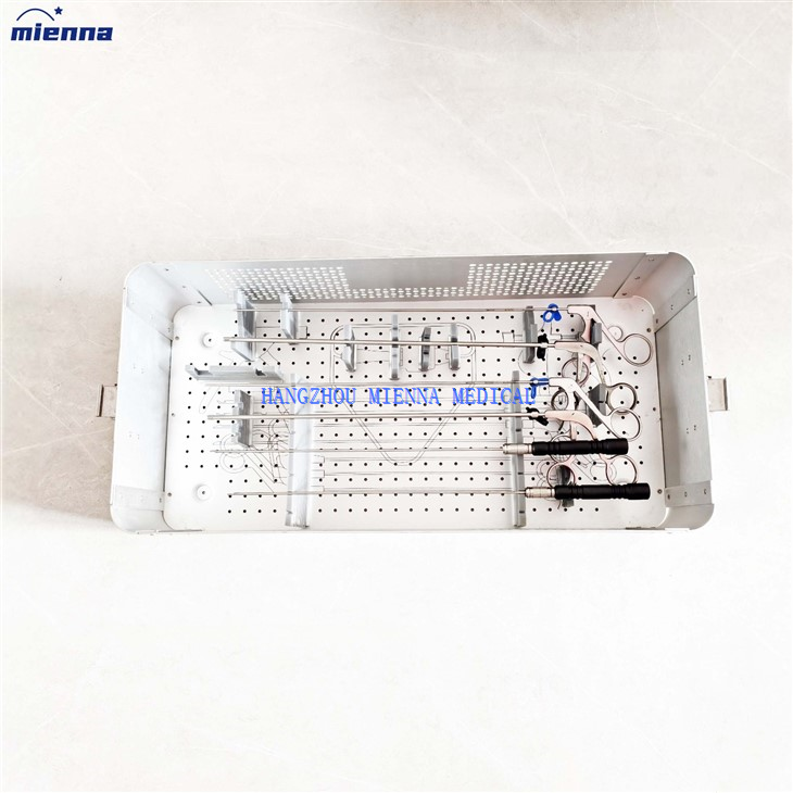 Medical Orthopedics Spine Instruments Endoscope Sterilization Case Sterilizing Box With Stainless Steel Material suppliers